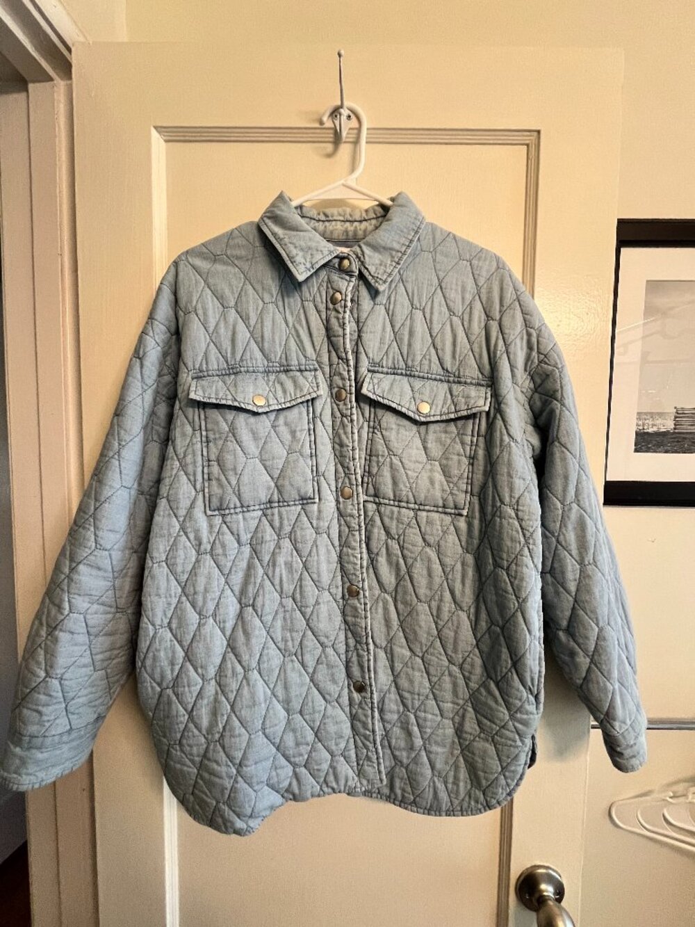 Zara Puffer Overshirt
